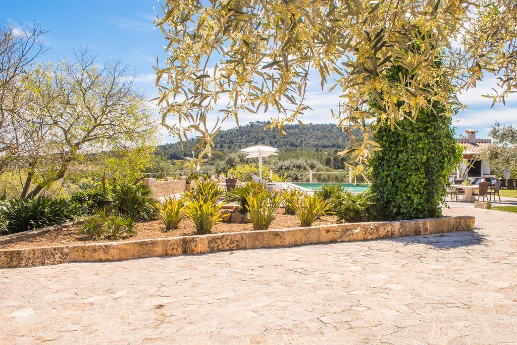 Agroturismo Son Burgues Petra  Dış mekan fotoğraf