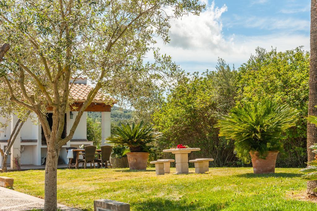 Agroturismo Son Burgues Petra  Dış mekan fotoğraf